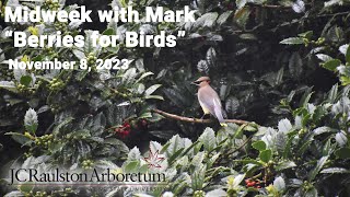 Midweek with Mark  quotBerries for Birdsquot [upl. by Codd]