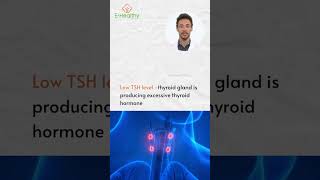 Thyroid Function Test  T3  T4 amp TSH Normal Range  Thyroid Symptoms [upl. by Rafiq123]