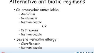 11 Intra abdominal infection [upl. by Leff]