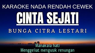 BCL  Cinta Sejati Karaoke Lower Key Nada Rendah Wanita 2 Cm [upl. by Yrro]