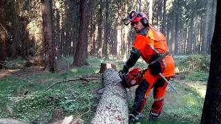 World Heavyweight Champion  HUSQVARNA 572XP chain saw [upl. by Jeromy]