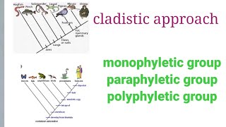 cladistic approach monophyletic groupparaphyletic group or polyphyletic group [upl. by Ateekram]