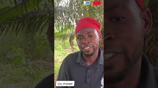 Mr pope and tax nah 5amp6😂😂viral comedy viralvideo trending funny funnyvideo reels goviral [upl. by Eeresed]