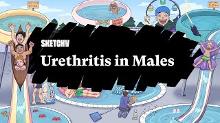 Urethritis in Males Lesson Part 1  Sketchy Medical  USMLE Step 2 CK [upl. by Junette625]