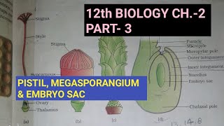 Class 12 biology chapter2 Part3 Pistil megasporangium and embryo sacStudy with FARRU [upl. by Attenra767]