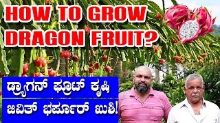 HOW TO GROW DRAGON FRUIT ಡ್ರ್ಯಾಗನ್ ಫ್ರೂಟ್ ಕೃಷಿಜಿವಿತ್ ಭರ್ಪೂರ್ ಖುಶಿ Sunday Special Episode [upl. by Boigie]