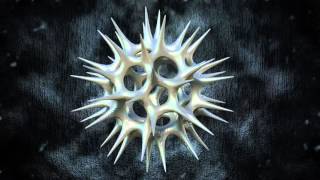 Acrosphaera Radiolaria [upl. by Lugo]