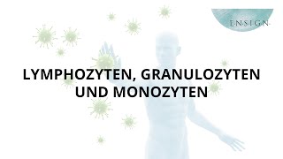 Leukozyten Granulozyten und Monozyten I Immunsystem I Vitalstoffe I ENSIGN OHG [upl. by Standice893]