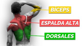 Rutina INTELIGENTE de ESPALDA y BÍCEPS de CALISTENIA [upl. by Samira]