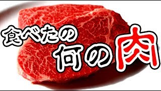 俺たちが食べた美味しい肉がどうやら珍しい動物の肉らしい… [upl. by Prebo]