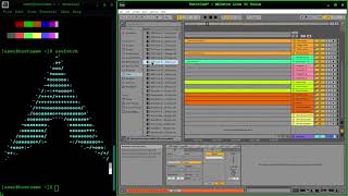 Linux How to Install Ableton Live 1126 Running on Wine 64bit Flawlessly Linux [upl. by Terbecki]