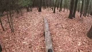 Mountain biking Chicopee state park [upl. by Geddes]