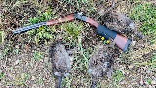 Grouse Hunting in Region 3 British Columbia [upl. by Birkle]