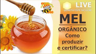 COMO PRODUZIR O MEL ORGÂNICO [upl. by Airal]