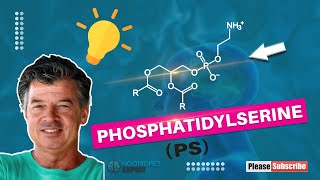 Phosphatidylserine [upl. by Sheffield]