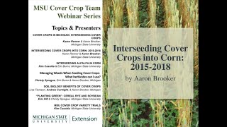 MSU Cover Crop Team Webinar Series Interseeding Cover Crops in Corn in Michigan [upl. by Gabe]