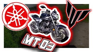 YAMAHA MT03  ESSAI A2  😍320cc pour samuser😃 [upl. by Ayoted]