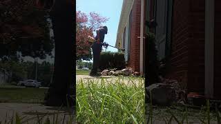 Trimming Bushes Hack Or Cheat smallenginerepair landscaping smallbusinessowners [upl. by Gertrud645]