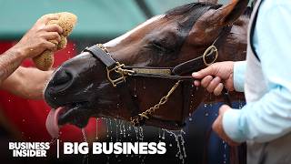 How The Fastest Horse In The Kentucky Derby® Was Bred And Raised To Win  Big Business [upl. by Manvell]