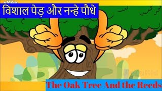 The Oak Tree And the Reeds Short Story In Hindi  विशाल पेड़ और नन्हे पौधे  Aesops Fable Kid Cartoon [upl. by Gupta456]