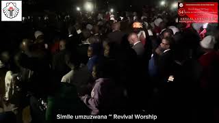 Simile umzuzwana  During power down [upl. by Krefetz]