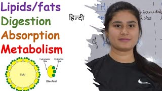 Fats  Lipids  Digestion  Absorption  Metabolism  Ketogenesis  Lipolysis  Chylomicron [upl. by Hsur]