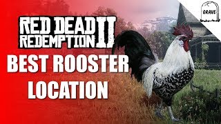 Best Rooster Location Red Dead Online  Daily Challenge RDR2 [upl. by Ambert407]