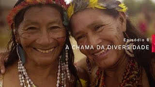 REVEZAMENTO DA TOCHA – EPISÓDIO 8 – A CHAMA DA DIVERSIDADE [upl. by Asirret320]