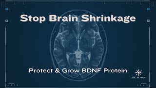 Stop Brain Shrinkage Increase The Essential Protein For Brain Health [upl. by Bergerac36]