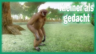 Gibbons ziehen ein 🐘 PLANET ZOO Deutsch 819 [upl. by Treve]