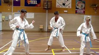 Hangetsu Tips Part 2 Leg lifts in Kata [upl. by Aliuqaj]