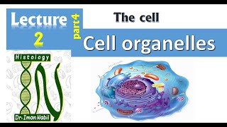 2dCell organelles part4Mitochondria and peroxisomeCellHistology [upl. by Daniala927]