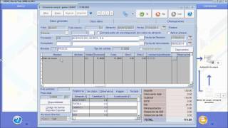 Otros datos de lotesseriespedimentos en SAI ERP® v8v9v10v11v12v14v15 [upl. by Zonnya455]