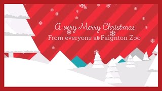 Paignton Zoo Christmas Card 2016 [upl. by Theodor]