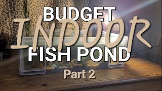 Budget Indoor Fish Pond Part 2 [upl. by Ma]