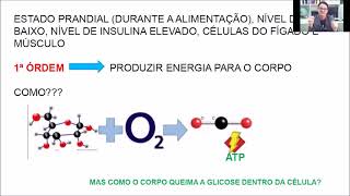 Nutrição de não ruminantes  Estrutura digestão e metabolismo de carboidratos  parte 02 [upl. by Lillith]