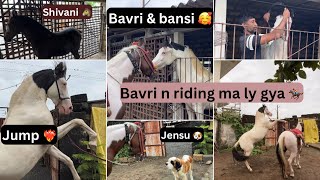 Bavri n riding ma ly gya 😍  bavri amp bansi 🫶🏻❤️  bansi jump ❤️‍🔥  bavri n jensu 🐶 [upl. by Boothman447]