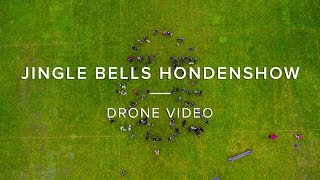 KC Pampus Jingle bells hondenshow  2016 Drone Video [upl. by Nichani]