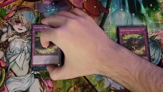 Undefeated Traptrix 80 Deck Profile  YuGiOh TCG [upl. by Syverson]