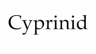 How to Pronounce Cyprinid [upl. by Richia]