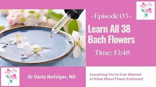 Learn All 38 Bach Flower Remedies Short Version [upl. by Ruhnke266]