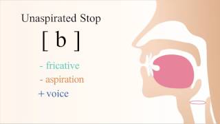 b  voiced unaspirated bilabial stop [upl. by Goldshell]