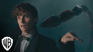 Fantastic Beasts Crimes of Grindelwald Ending Explained  Credence Theory [upl. by Temple]