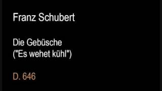 Schubert D646 Die Gebüsche Es wehet kühlwmv [upl. by Notfa]