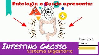 Histologia do Sistema Digestório Intestino Grosso [upl. by Ferdinanda236]