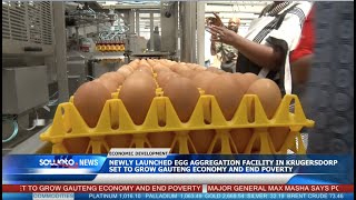 SOWETO TV NEWS  NEWLY LAUNCHED EGG AGGREGATION FACILITY IN KRUGERSDORP SET TO GROW GAUTENG ECONOMY [upl. by Hermon124]