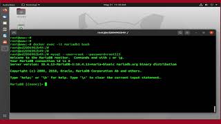 How To Deploy MariaDB on Docker Without Dockerfile On Ubuntu 2004 [upl. by Falito275]