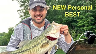 Watauga Lake bass fishing in June  Glide bait fishing for GIANT BASS [upl. by Ange24]