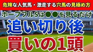 ホープフルステークス2023 追い切り後【買いの1頭】公開！フルゲート必至の今年は波乱濃厚！適性・展開、妙味も十分の１頭とは？ [upl. by Lopez]