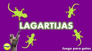 Juego para gatos  Lagartijas [upl. by Tnattirb]